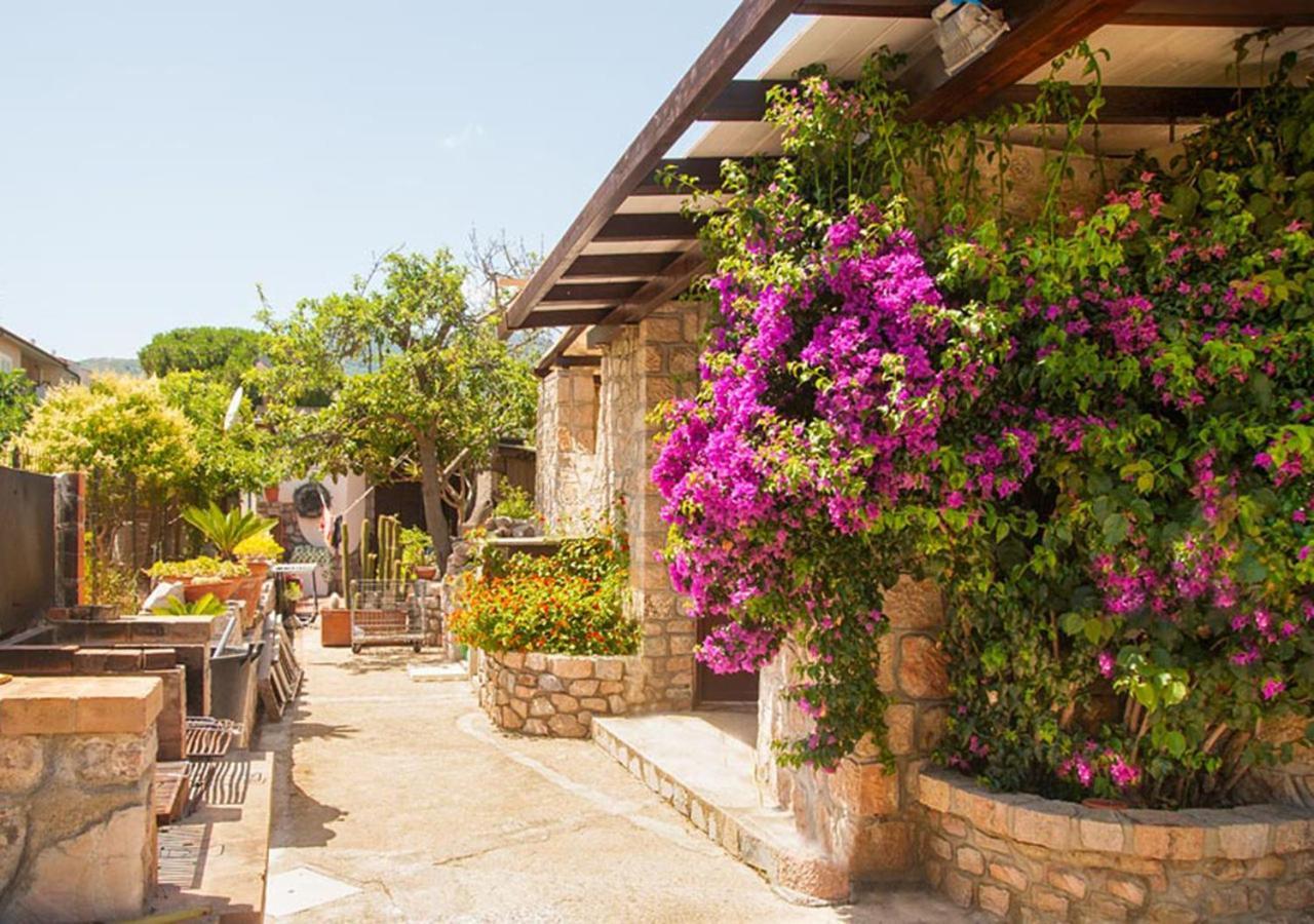 Eucharis Appartement Marina di Campo